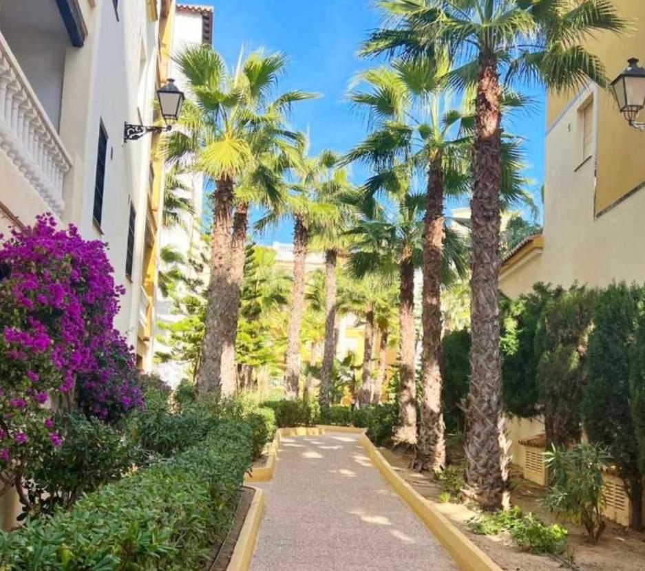 Apartamento Aldea Del Mar トレビエハ エクステリア 写真